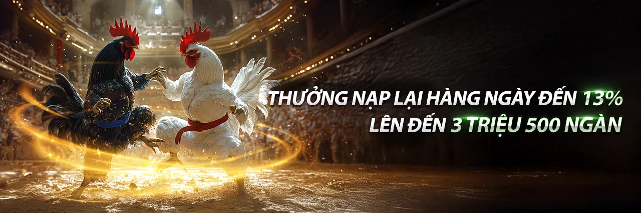 Đá Gà Thomo 19/7/2023 – Sân đấu rực lửa